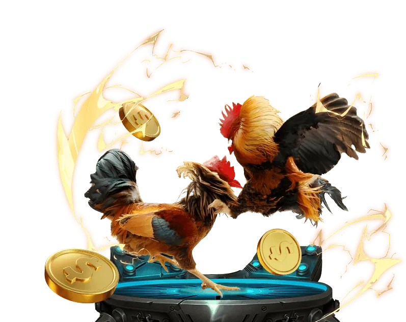 Hình ảnh hỗ trợ khách hàng BK8